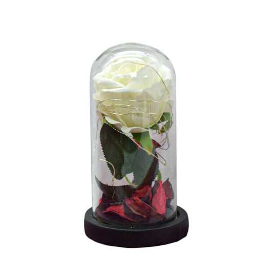 Aranjament floral in cupola de sticla, lumina Led, D4030, Alb