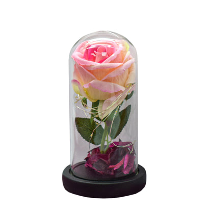 Aranjament floral in cupola de sticla, lumina Led, D4030, Roz