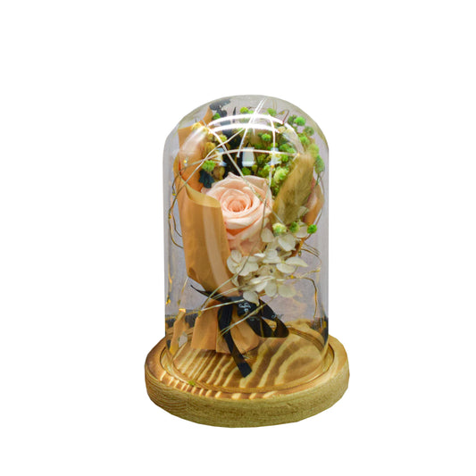 Aranjament floral in cupola de sticla, lumina Led, D4046, Roz