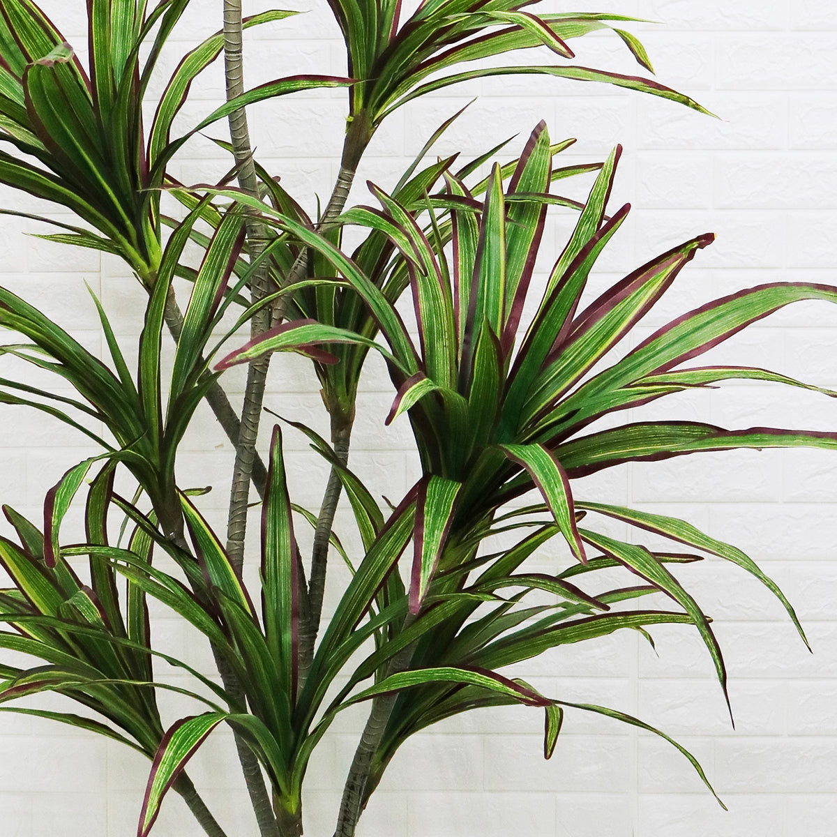 Planta artificiala, Dracaena fara ghiveci, D4277, 204cm, verde/rosu