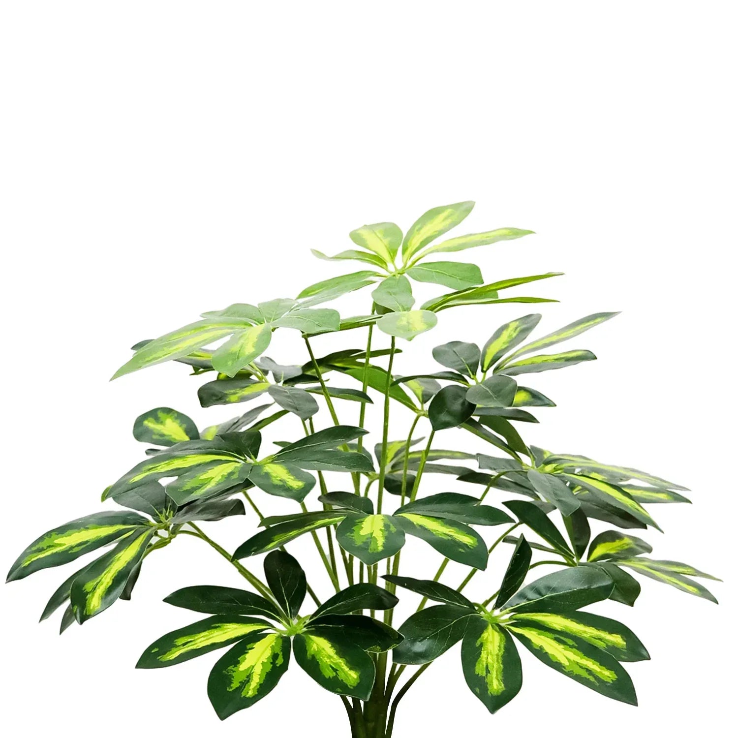 Planta artificiala, Pachira fara ghiveci, D4282, 65cm, verde - 221.ro
