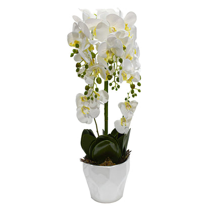 Orhidee cu aspect natural in ghiveci ceramic, 70 cm, Naimeed D4842, Alb