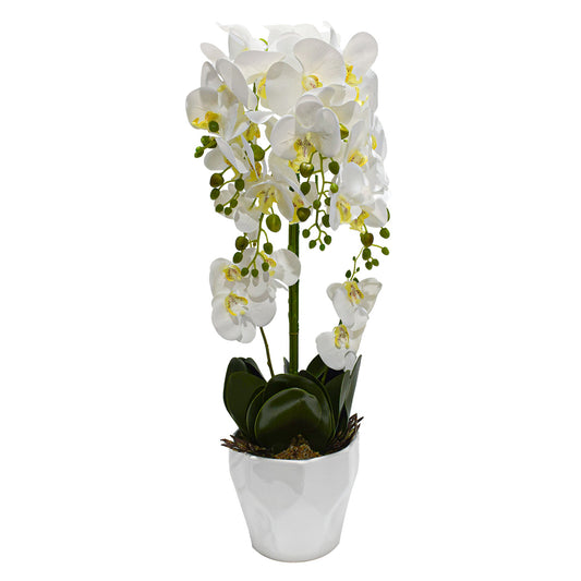 Orhidee cu aspect natural in ghiveci ceramic, 70 cm, Naimeed D4842, Alb