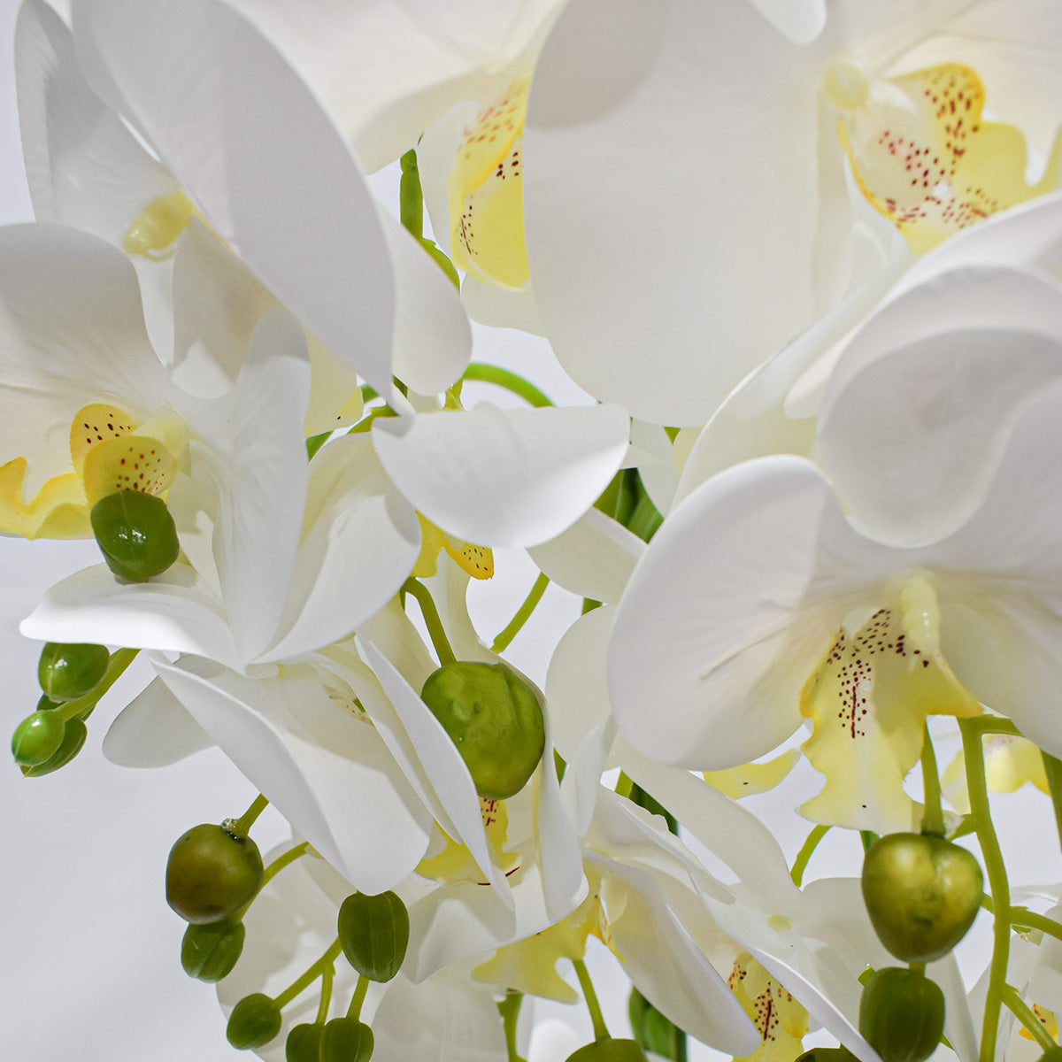 Orhidee cu aspect natural in ghiveci ceramic, 70 cm, Naimeed D4842, Alb