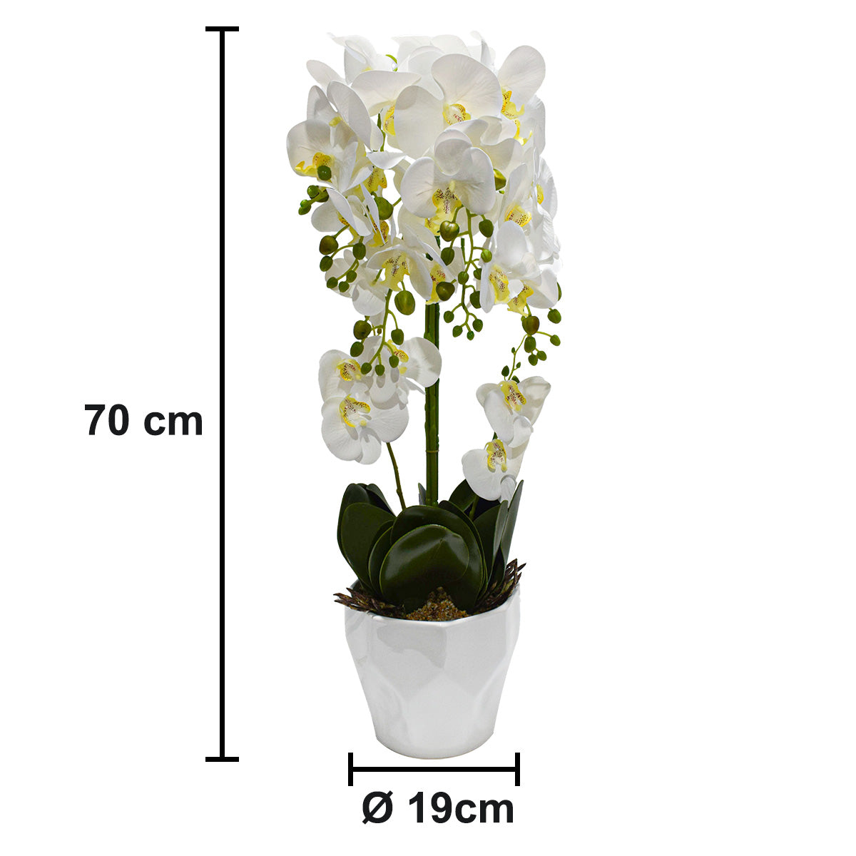 Orhidee cu aspect natural in ghiveci ceramic, 70 cm, Naimeed D4842, Alb