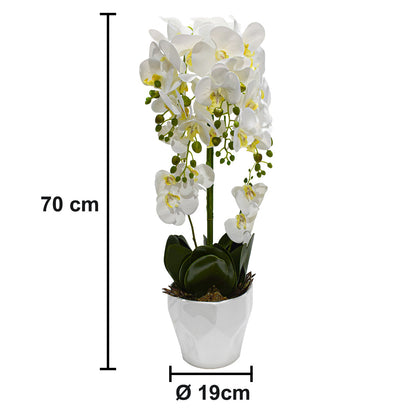 Orhidee cu aspect natural in ghiveci ceramic, 70 cm, Naimeed D4842, Alb