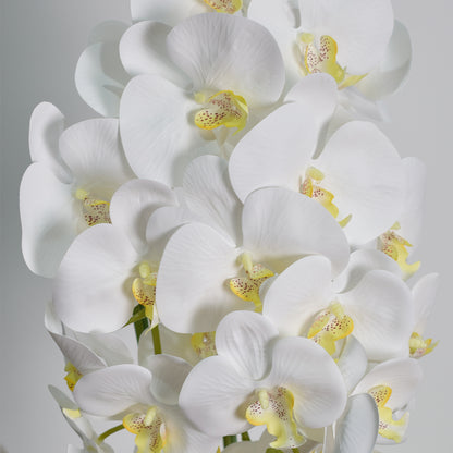 Orhidee cu aspect natural in ghiveci ceramic, 70 cm, Naimeed D4843, Alb
