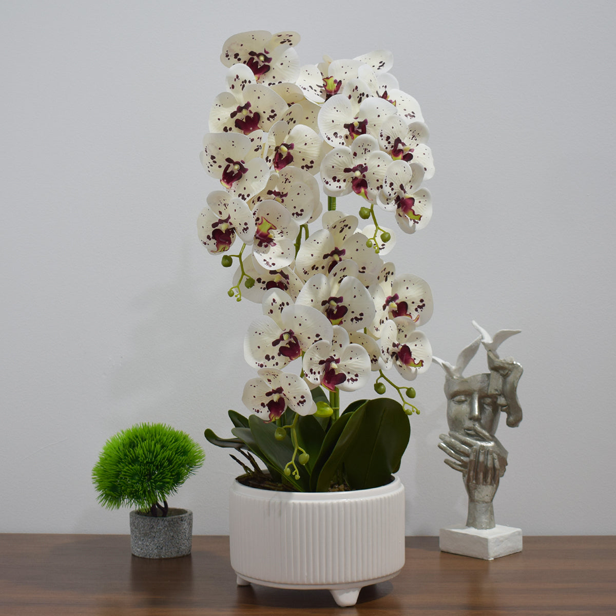 Orhidee cu aspect natural in ghiveci ceramic, 71 cm, Naimeed D4844, Alb-Visiniu
