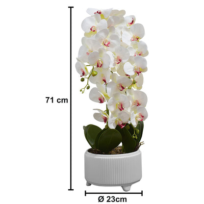 Orhidee cu aspect natural in ghiveci ceramic, 71 cm, Naimeed D4844, Alb