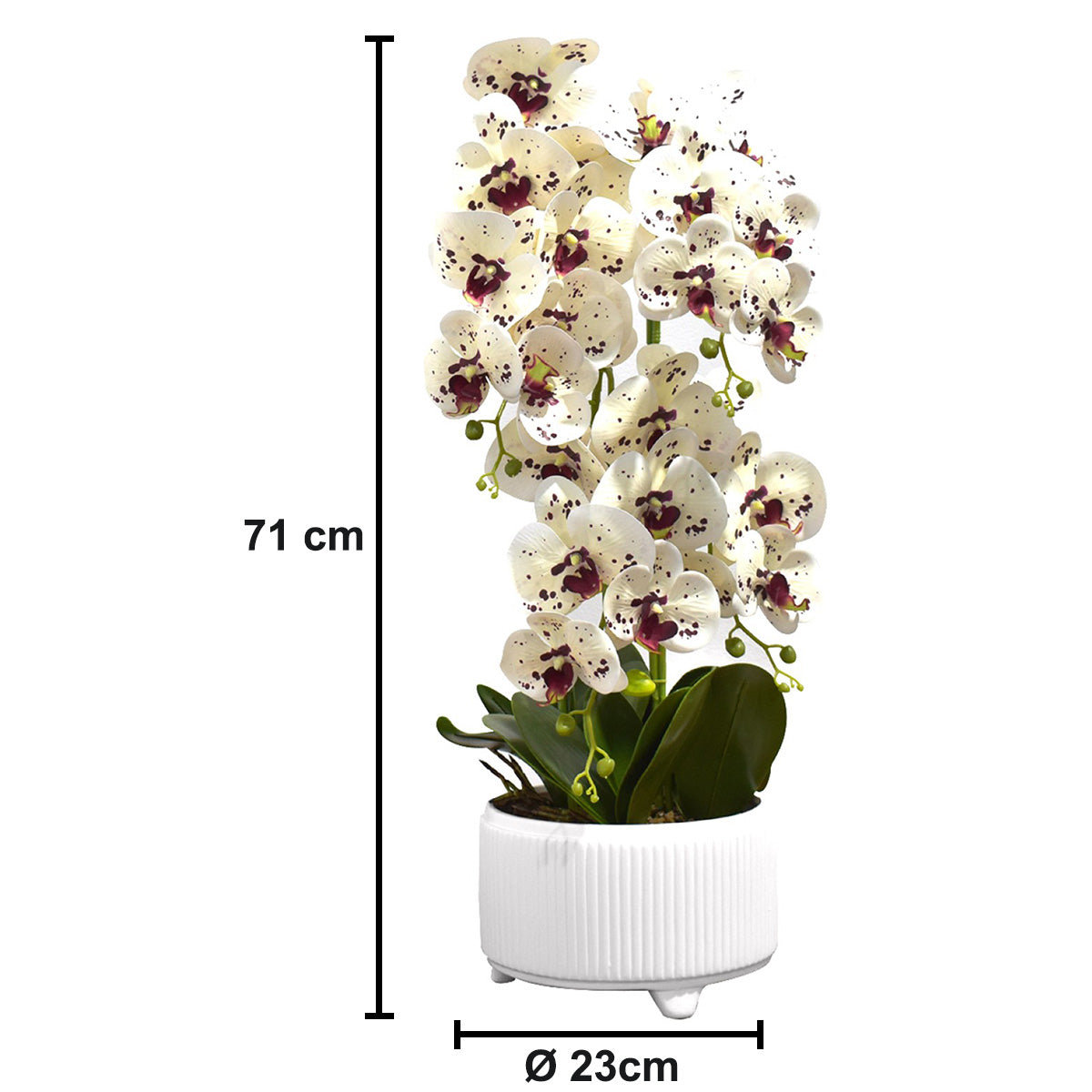 Orhidee cu aspect natural in ghiveci ceramic, 71 cm, Naimeed D4844, Alb-Visiniu