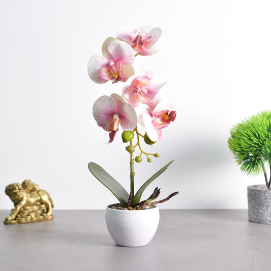 Orhidee cu aspect natural in ghiveci ceramic, 33 cm, Naimeed D4851, Roz
