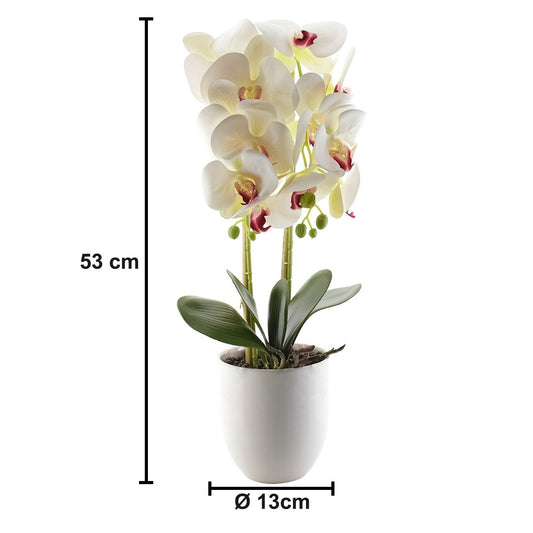Orhidee cu aspect natural in ghiveci ceramic, 53 cm, Naimeed D4846, Alb