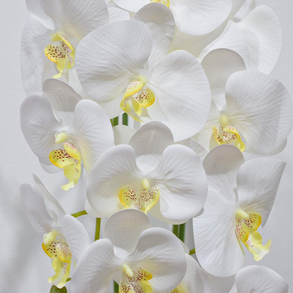 Orhidee cu aspect natural in ghiveci ceramic, 50 cm, Naimeed D4848, Alb