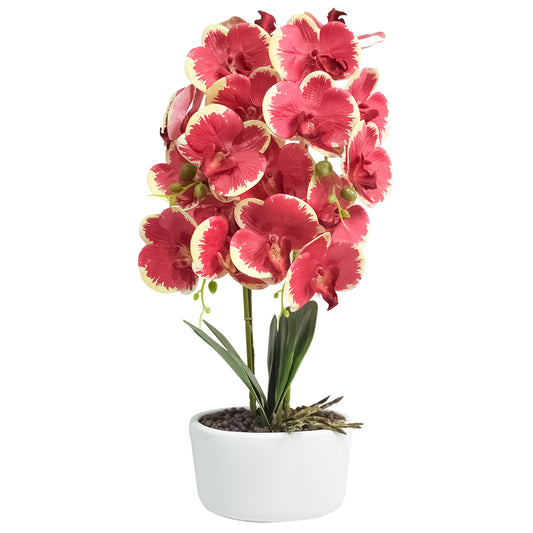 Orhidee cu aspect natural in ghiveci ceramic, 50 cm, Naimeed D4848, Rosu