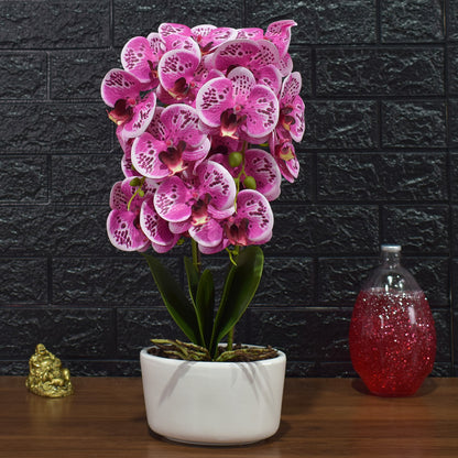 Orhidee cu aspect natural in ghiveci ceramic, 50 cm, Naimeed D4848, Roz