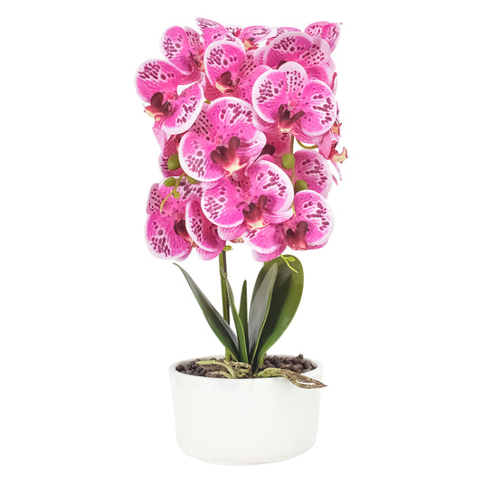 Orhidee cu aspect natural in ghiveci ceramic, 50 cm, Naimeed D4848, Roz