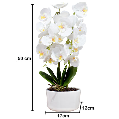 Orhidee cu aspect natural in ghiveci ceramic, 50 cm, Naimeed D4848, Alb