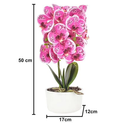 Orhidee cu aspect natural in ghiveci ceramic, 50 cm, Naimeed D4848, Roz