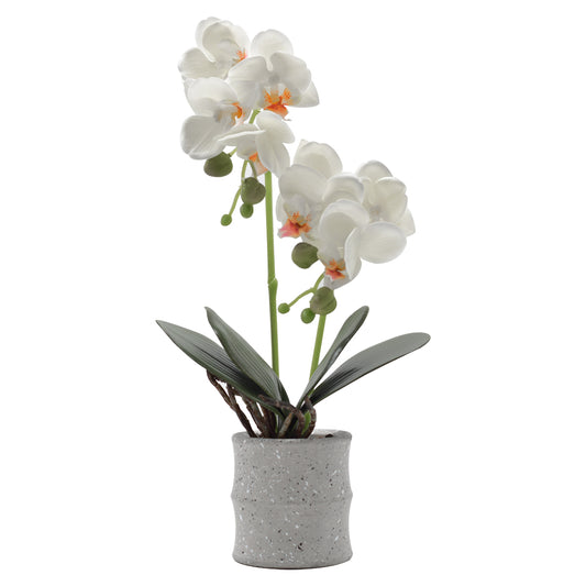 Orhidee cu aspect natural in ghiveci ceramic, 35 cm, Naimeed D4849, Alb