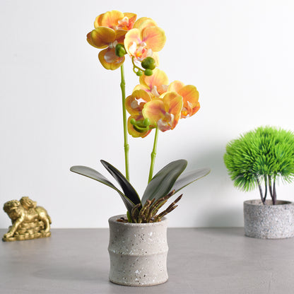 Orhidee cu aspect natural in ghiveci ceramic, 35 cm, Naimeed D4849, Portocaliu