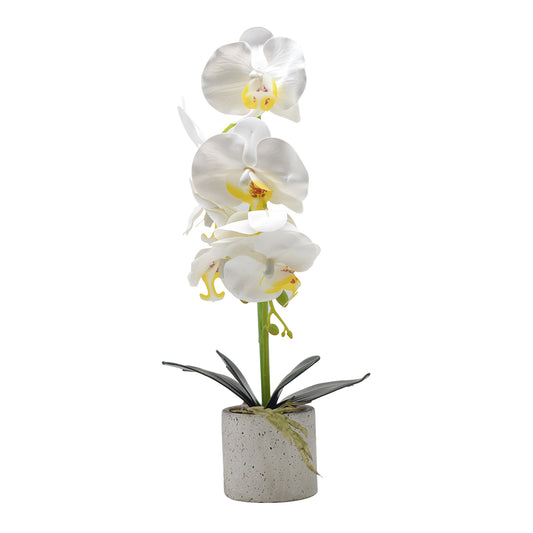 Orhidee cu aspect natural in ghiveci ceramic, 36 cm, Naimeed D4850, Alb