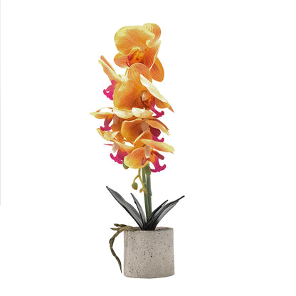 Orhidee cu aspect natural in ghiveci ceramic, 36 cm, Naimeed D4850, Portocaliu