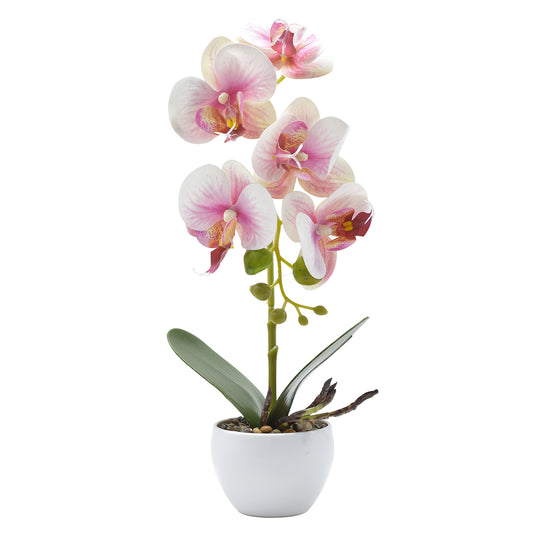 Orhidee cu aspect natural in ghiveci ceramic, 33 cm, Naimeed D4851, Roz