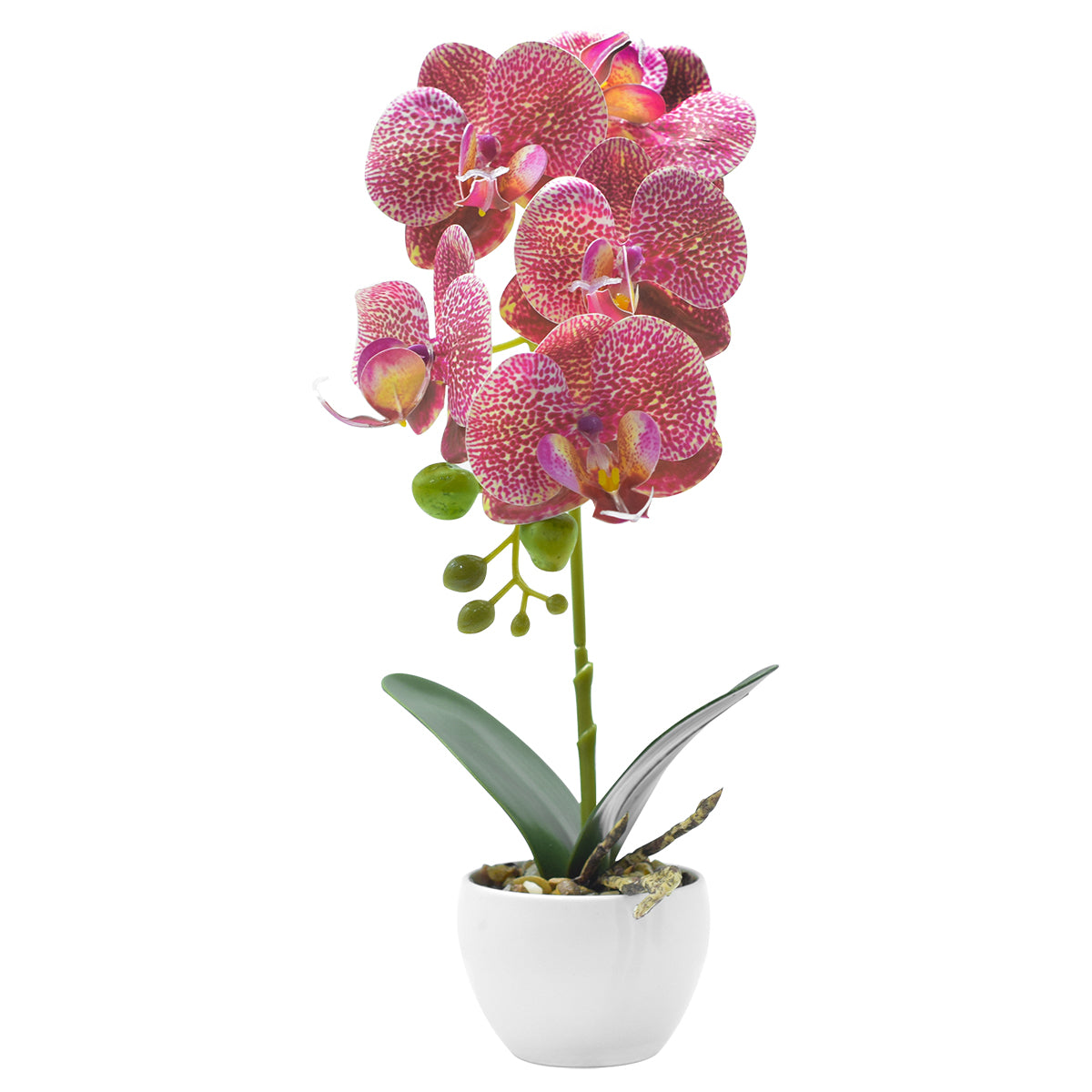 Orhidee cu aspect natural in ghiveci ceramic, 33 cm, Naimeed D4851, RozGalben
