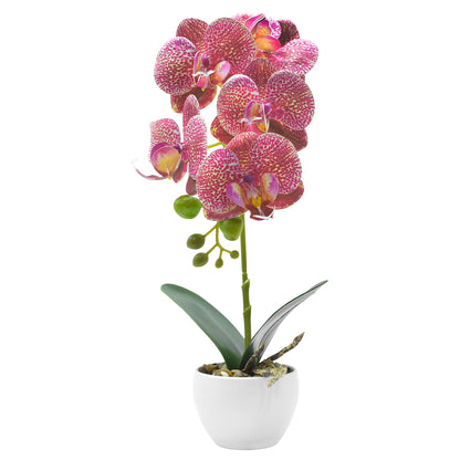 Orhidee cu aspect natural in ghiveci ceramic, 33 cm, Naimeed D4851, RozGalben