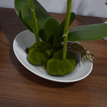 Orhidee cu aspect natural in ghiveci ceramic, 49 cm, Naimeed D4852, Alb