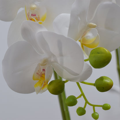 Orhidee cu aspect natural in ghiveci ceramic, 49 cm, Naimeed D4852, Alb