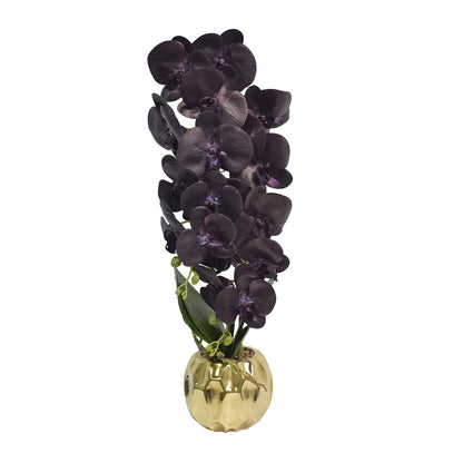 Orhidee cu aspect natural in ghiveci ceramic, 60 cm, Naimeed D4854, Mov
