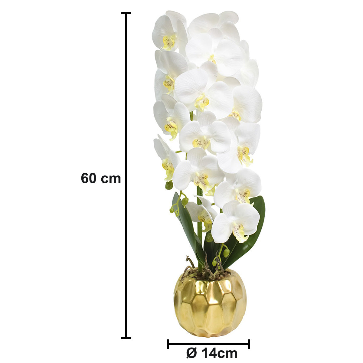 Orhidee cu aspect natural in ghiveci ceramic, 60 cm, Naimeed D4854, Alb