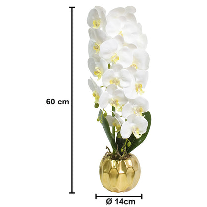 Orhidee cu aspect natural in ghiveci ceramic, 60 cm, Naimeed D4854, Alb
