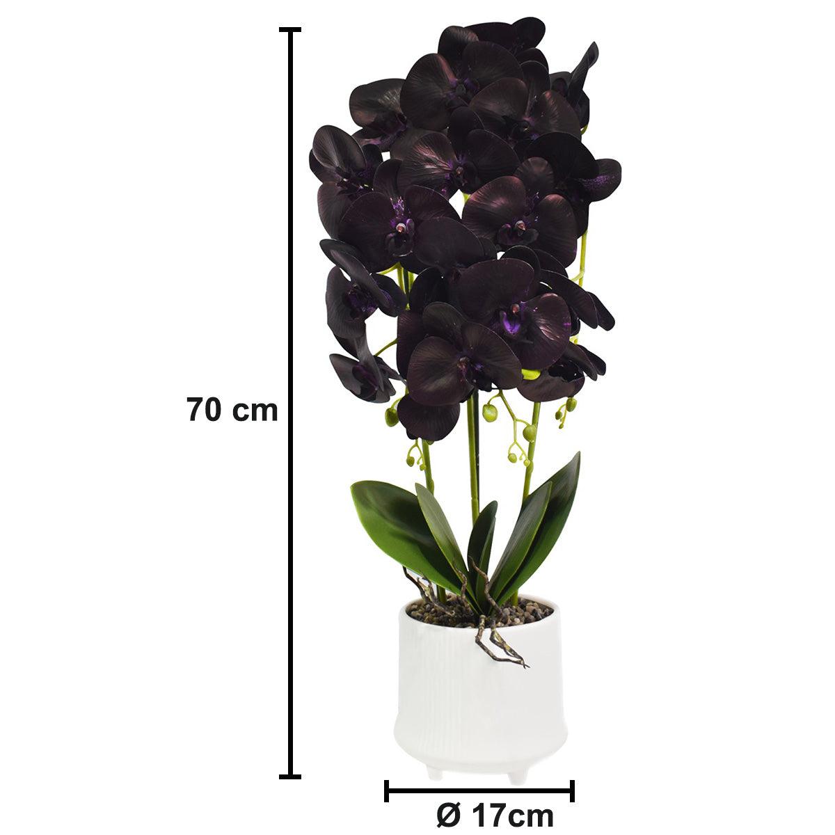 Orhidee cu aspect natural in ghiveci ceramic, 70 cm, Naimeed D4855, Mov