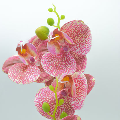 Orhidee cu aspect natural in ghiveci ceramic, 30 cm, Naimeed D4856, Roz Inchis