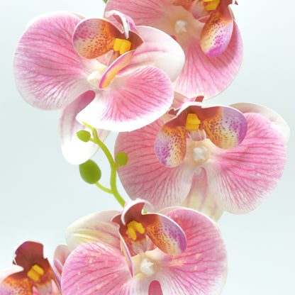 Orhidee cu aspect natural in ghiveci ceramic, 30 cm, Naimeed D4856, Roz