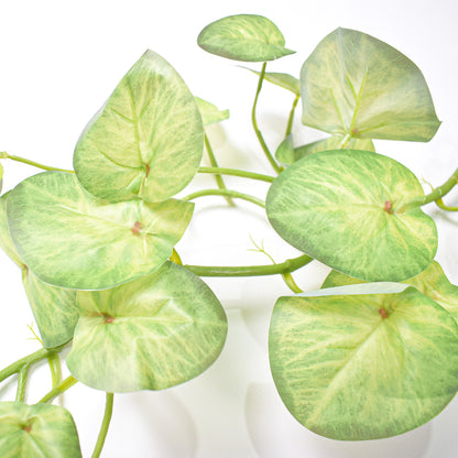 Planta artificiala curgatoare, Naimeed D4990, Verde, 1.7m