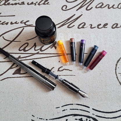 Set stilou cu penita, calimara, 5 rezerve, Naimeed D5225, model3