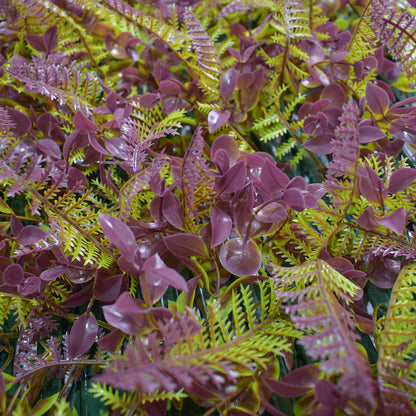 Paravan verde artificial, extensibil, Naimeed D5573, Verde/Maro