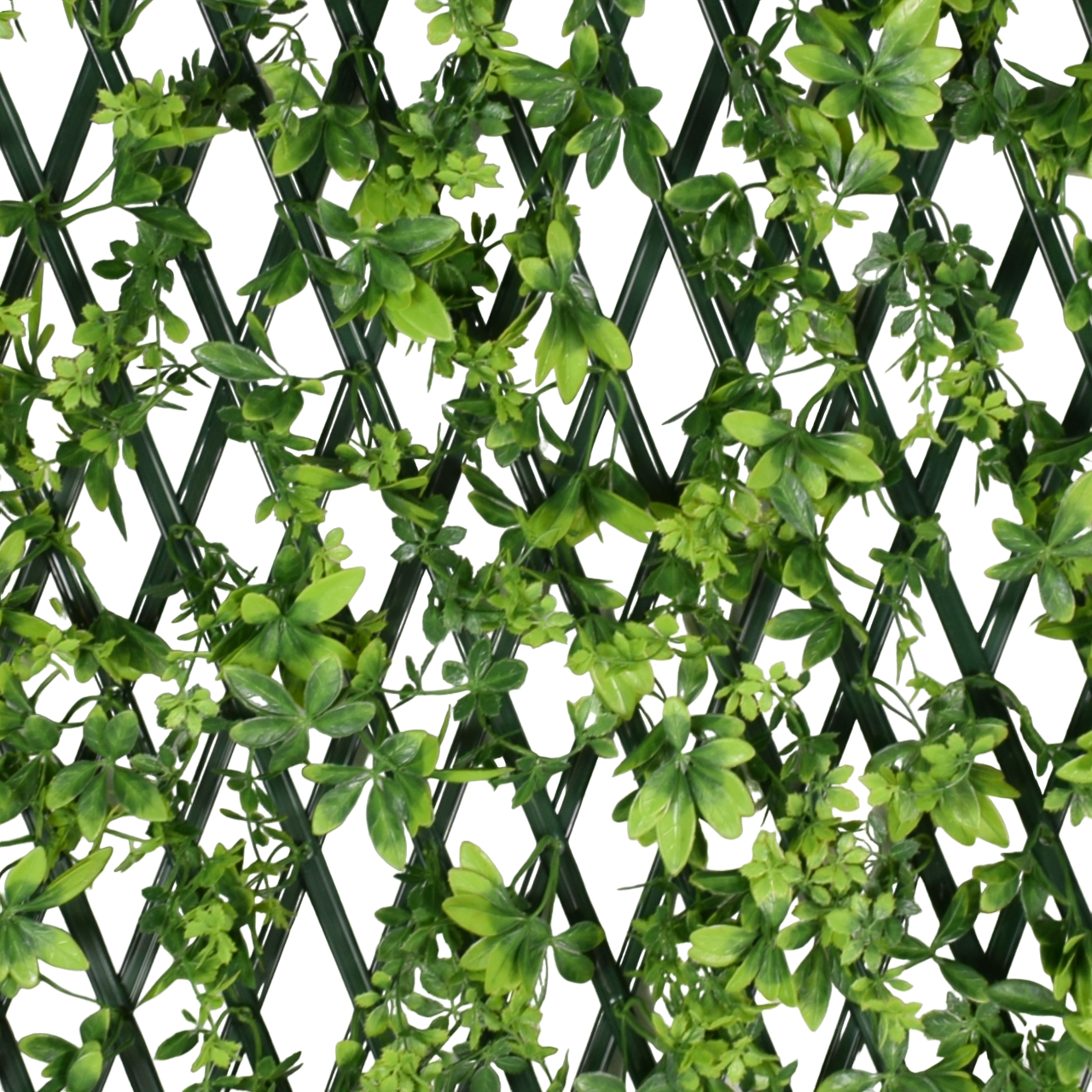 Paravan verde artificial, extensibil, Naimeed D5574, Verde