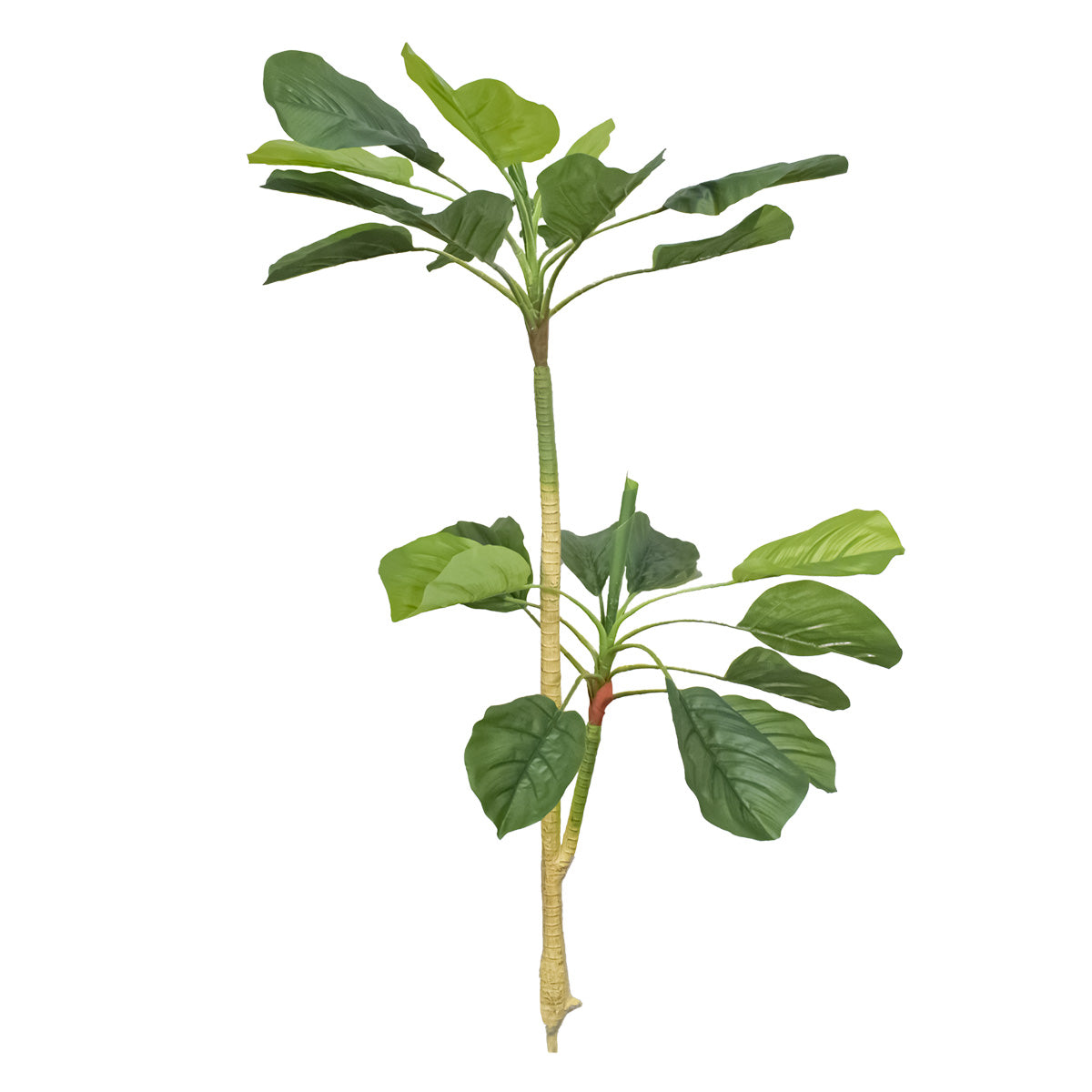Planta artificiala, Dracaena Marginata fara ghiveci, Naimeed D5601, 115x51 cm, Verde