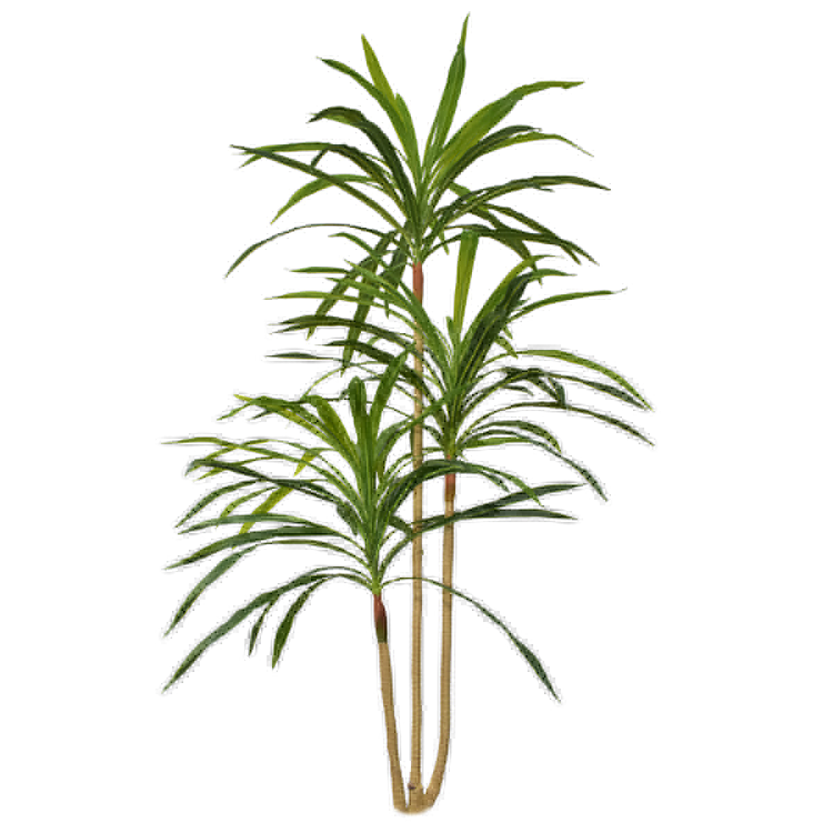 Planta artificiala, Dracaena Marginata fara ghiveci, Naimeed D5604, 175x78 cm, Verde