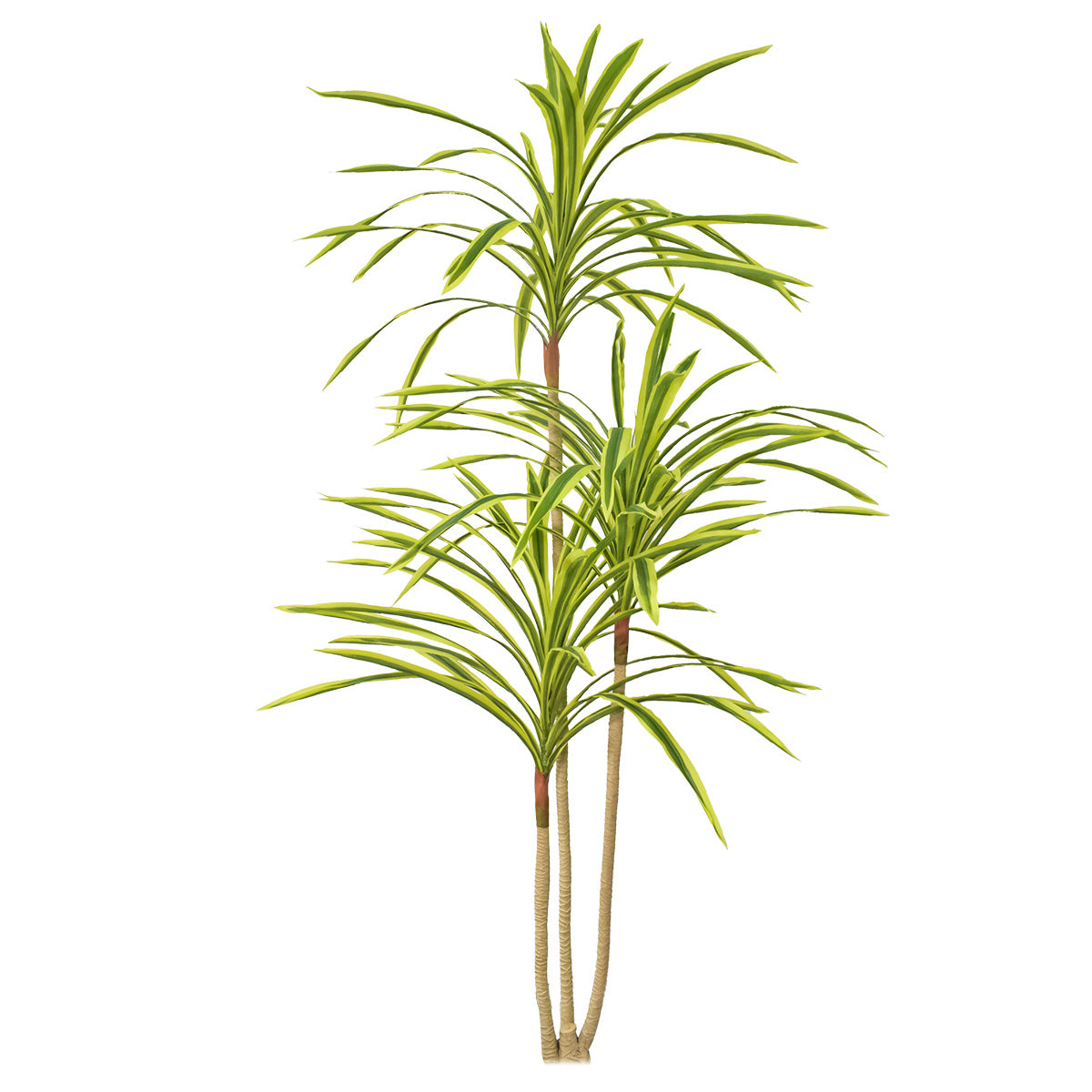 Planta artificiala, Dracaena Marginata fara ghiveci, Naimeed D5604, 175x78 cm, Verde Galbui