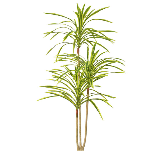 Planta artificiala, Dracaena Marginata fara ghiveci, Naimeed D5604, 175x78 cm, Verde Galbui