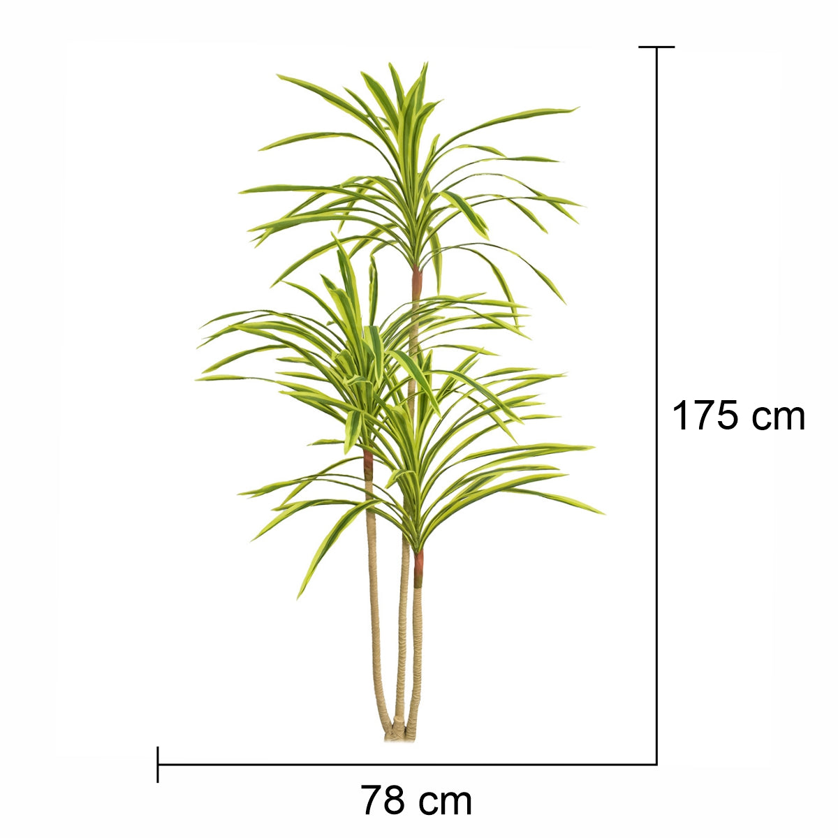 Planta artificiala, Dracaena Marginata fara ghiveci, Naimeed D5604, 175x78 cm, Verde Galbui