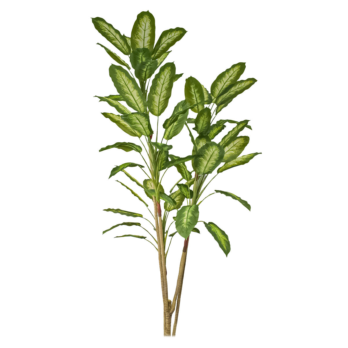 Copac artificial, Dieffenbachia Seguine fara ghiveci, Naimeed D5605, 215x80 cm, Verde