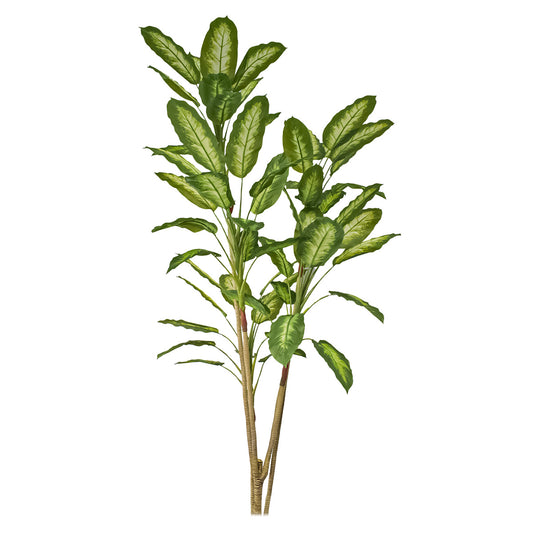 Copac artificial, Dieffenbachia Seguine fara ghiveci, Naimeed D5605, 215x80 cm, Verde