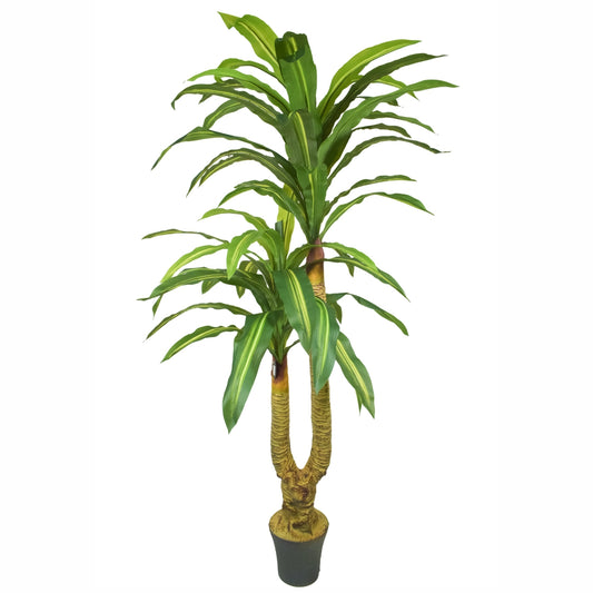 Copac  artificial, Dracaena fara ghiveci, Naimeed D5612, 166x100 cm, Verde/Galben