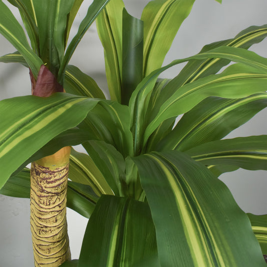 Copac  artificial, Dracaena fara ghiveci, Naimeed D5612, 166x100 cm, Verde/Galben